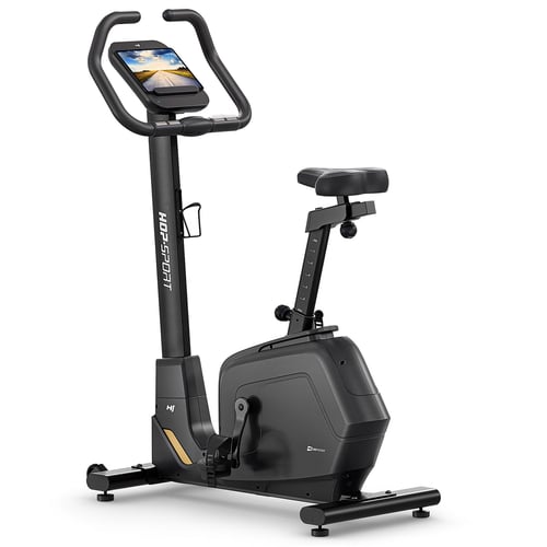 Rower elektryczno-magnetyczny H