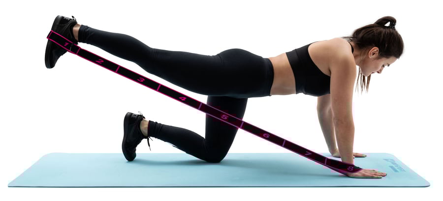 3f077cbe-12c2-4a90-dbcd-7987718