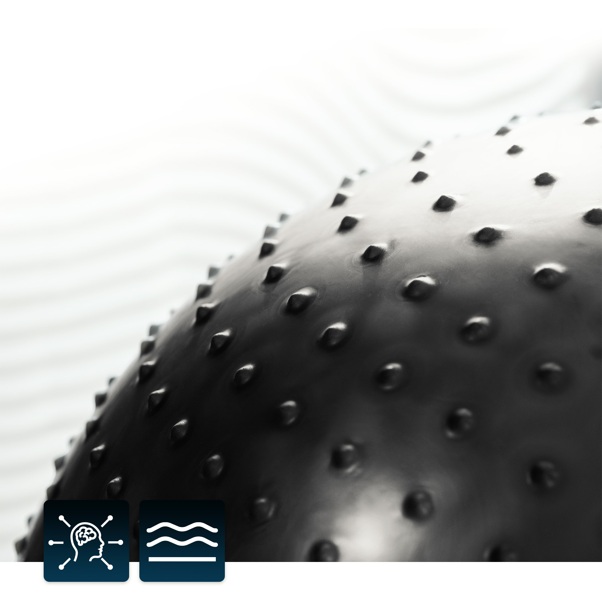 Protuberancias de masaje en una pelota de gimnasia negra de 65 cm de la marca Hop-Sport