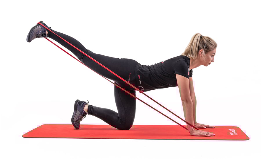 fd423291-6536-4519-a731-b74d14f